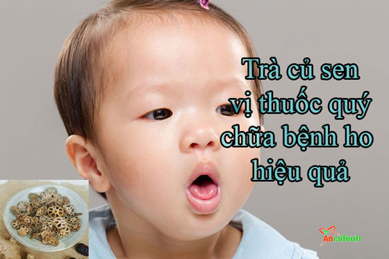 Tác dụng "vàng" của trà củ sen tốt cho sức khỏe